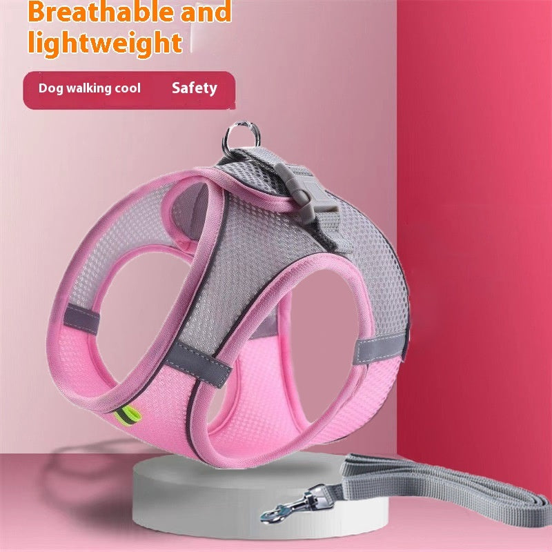 Cat Harness