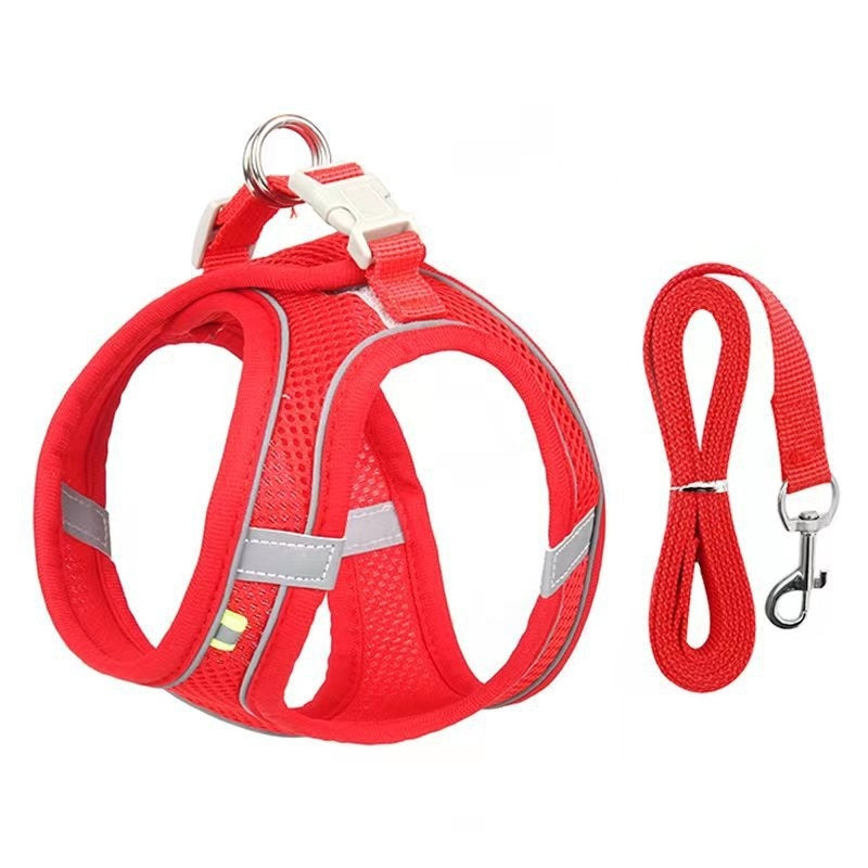 Cat Harness
