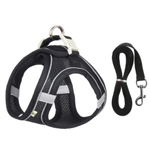 Cat Harness