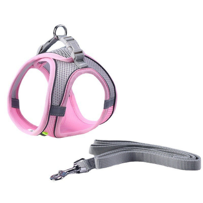 Cat Harness