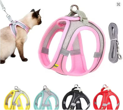 Cat Harness